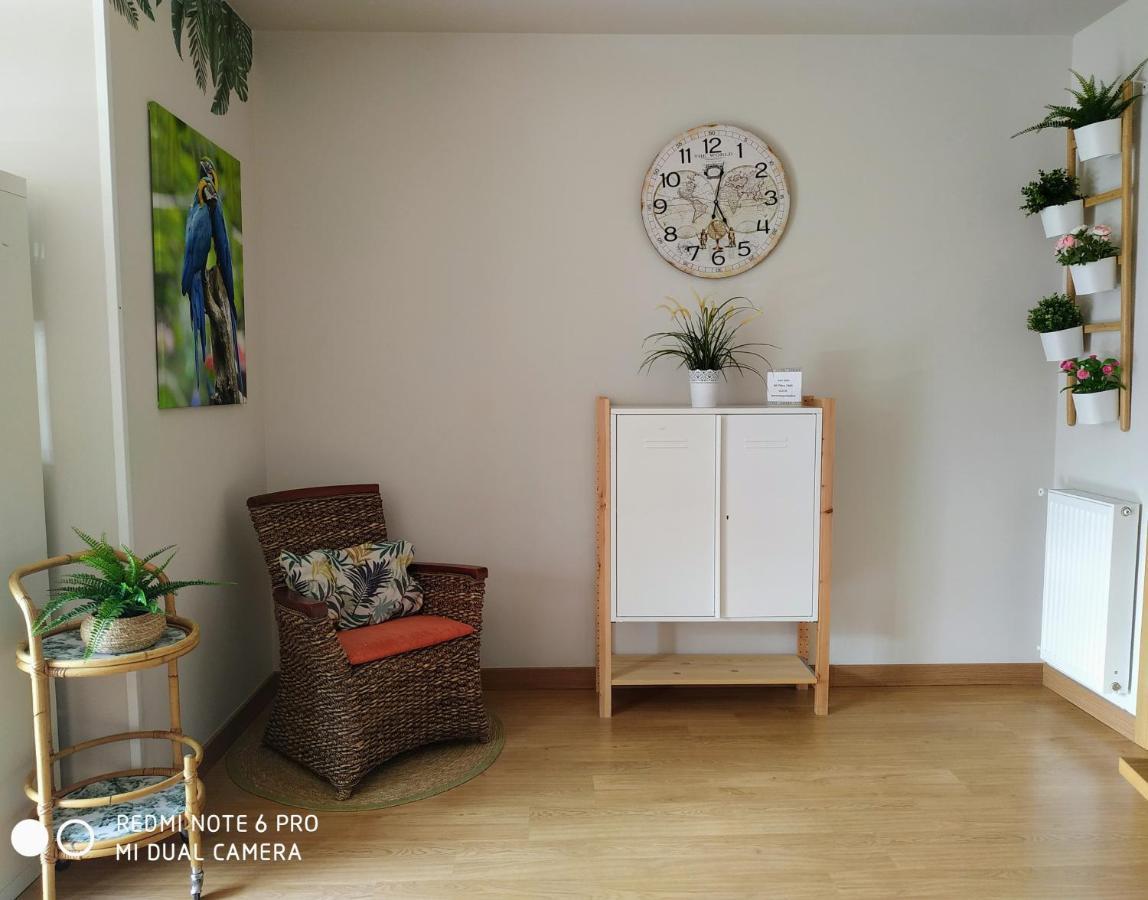 Appartement Bermeo Y Urdaibai - Parking-Ascensor - Wifi - Tranquilo Extérieur photo